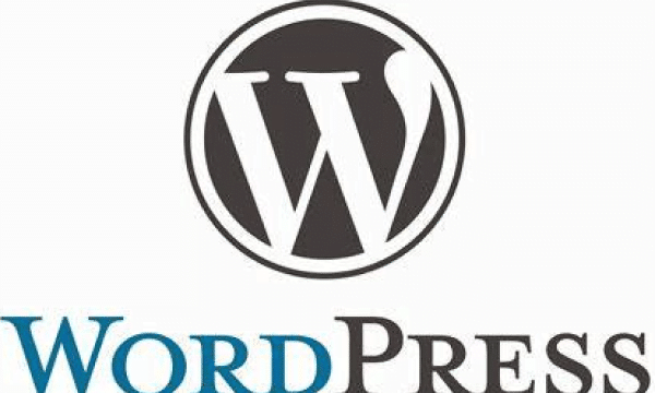 Ilustrasi Wordpress (img: coding studio)