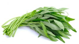 Ilustrasi Kangkung (img: umsu.ac.id)