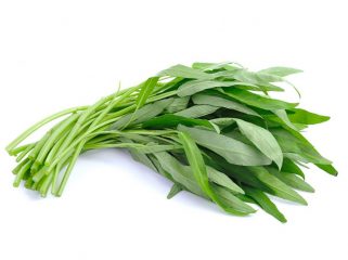 Ilustrasi Kangkung (img: umsu.ac.id)