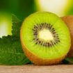 Ilustrasi Kiwi (img: kemenkes.go.id)