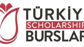 Ilustrasi Turkiye Burslari (img: asean scholarship)