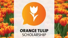 Ilustrasi Orange Tulip Scholarship (img: scholars official)