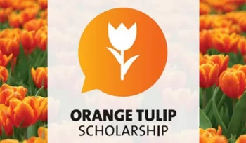 Ilustrasi Orange Tulip Scholarship (img: scholars official)