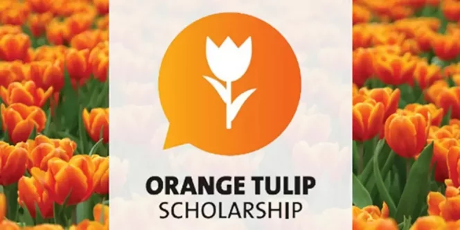 
Ilustrasi Orange Tulip Scholarship (img: scholars official)