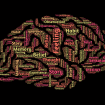 Ilustrasi Psikologi (img: pixabay.com by johnhain)