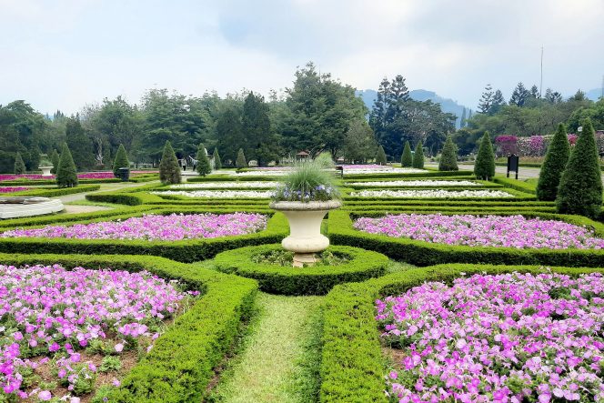 
Rekomendasi Wisata Taman Bunga yang Cantik di Indonesia