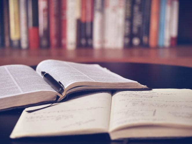 
Rekomendasi Buku tentang Pola Pikir Sukses