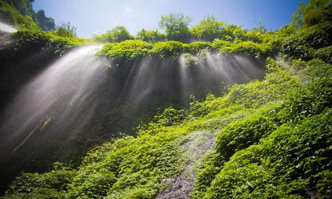 
Img: tripadvisor