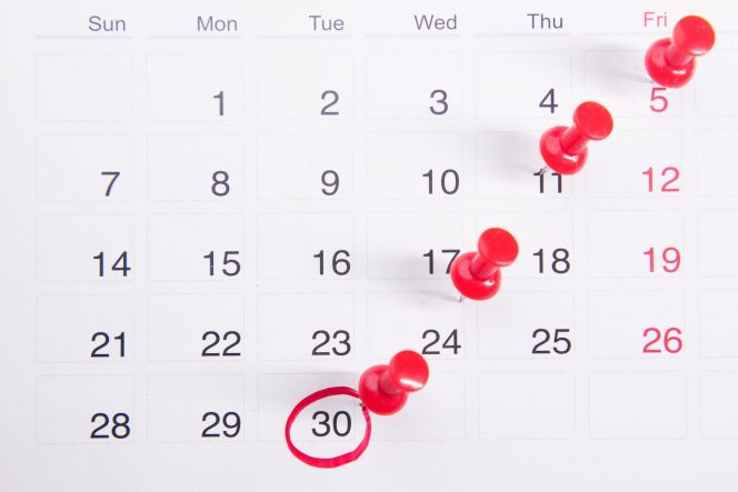 
Cara Membuat Jadwal Harian yang Teratur dan Disiplin