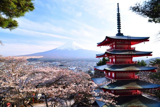 
Paduan Wisata Halal di Jepang untuk Traveler Muslim